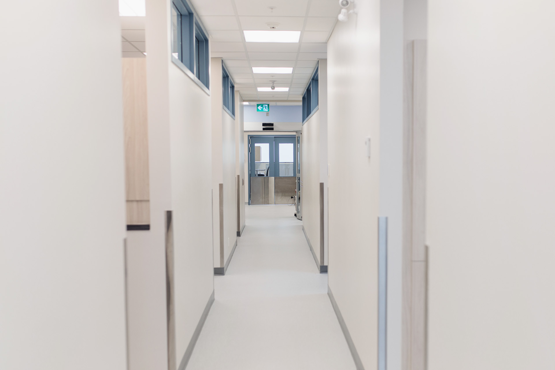 24-hour-emergency-veterinary-ottawa-gatineau