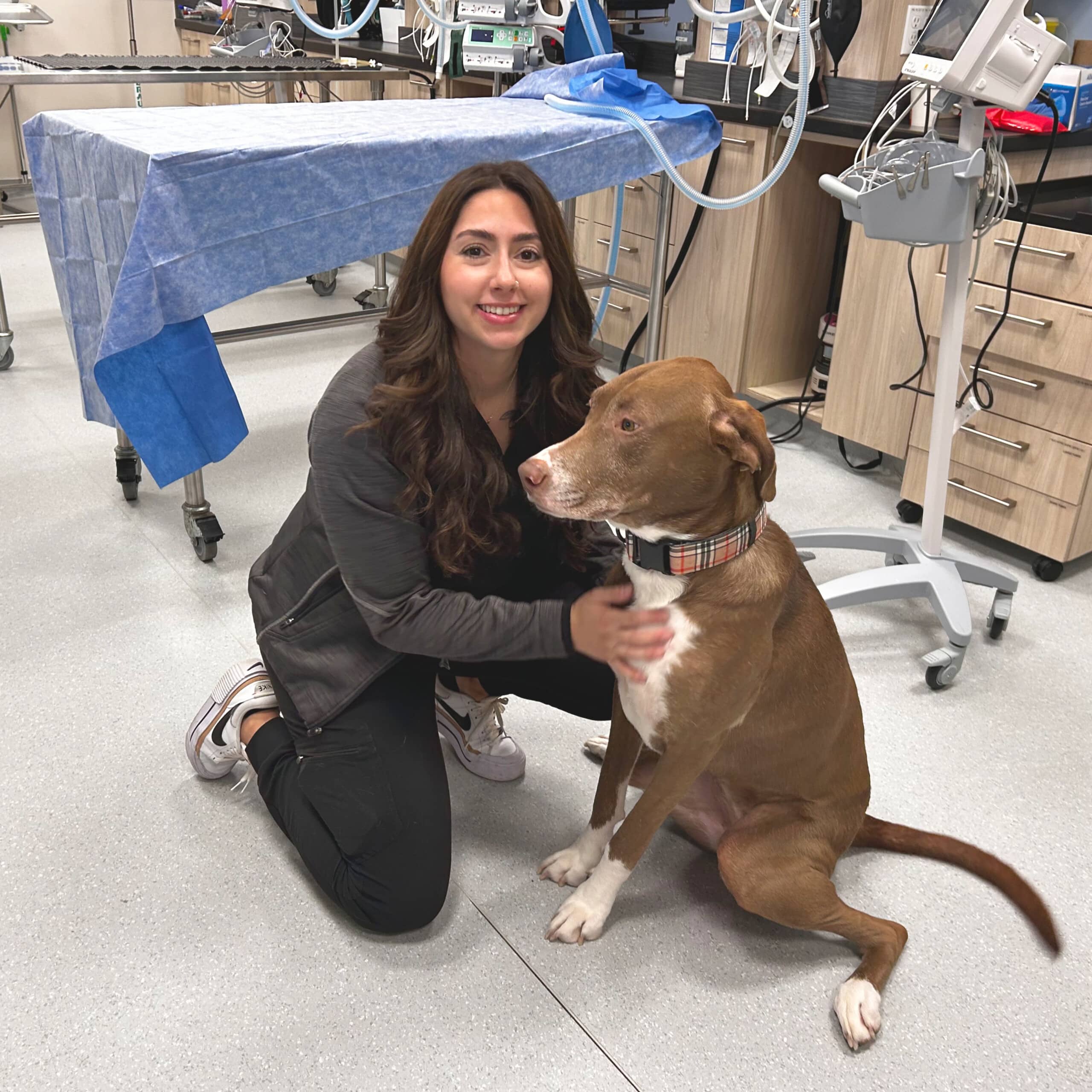 Facilities at the Ottawa Animal Emergency & Specialty Hospital