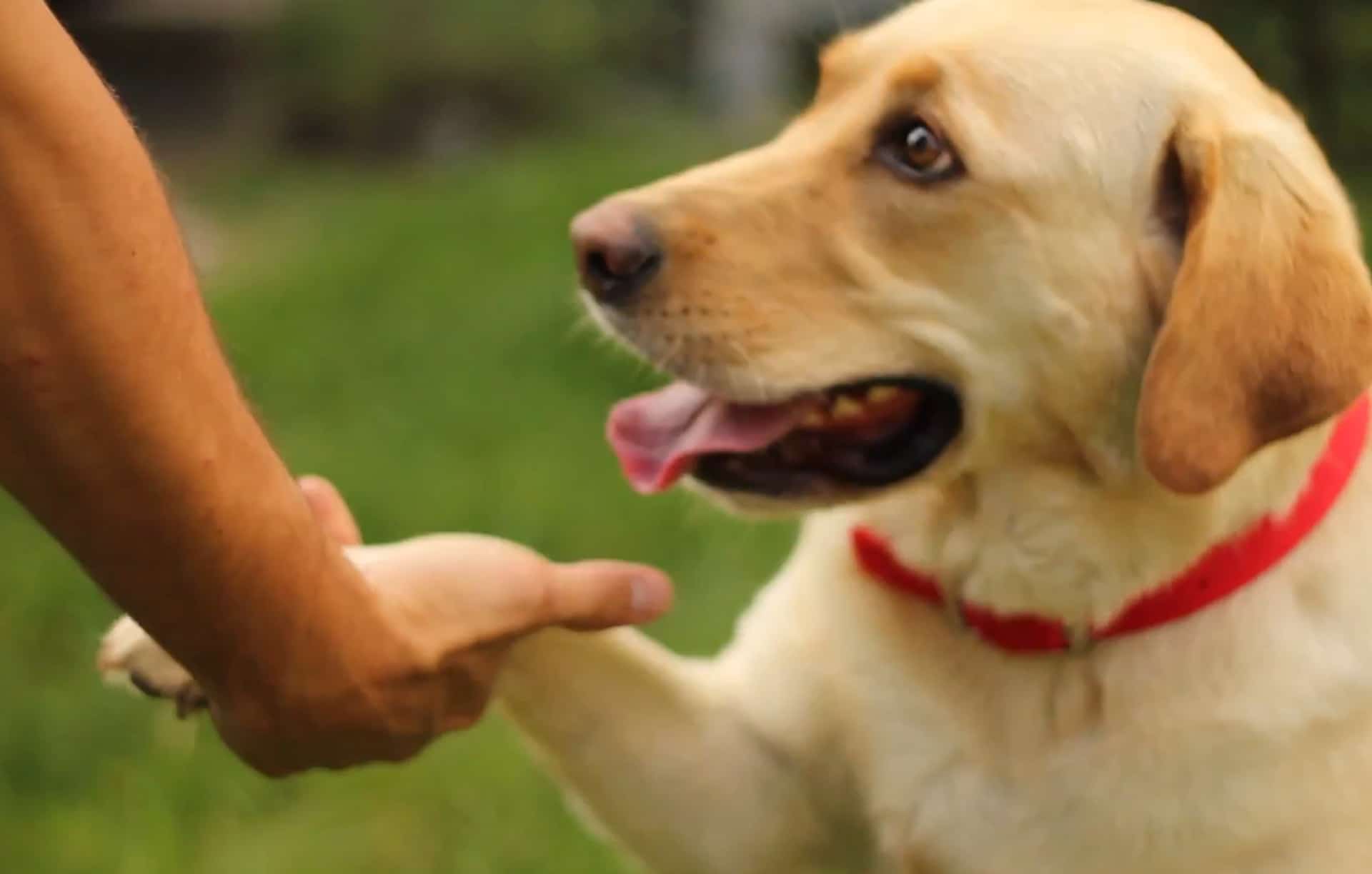 Sadie's Story of Survival