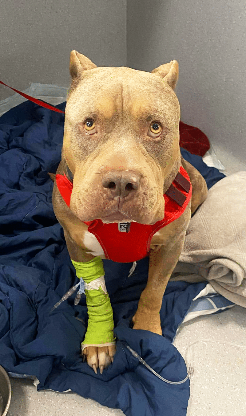 Lemmy recovering Lemmy recovering